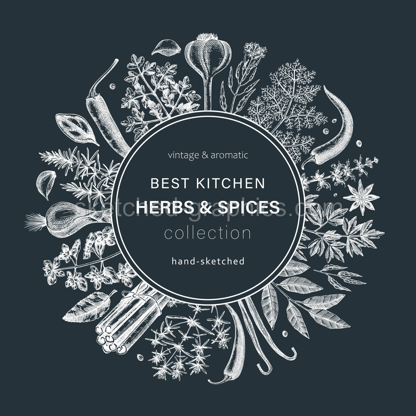 Hand-drawn herbs and spices round design. Hand-sketched food wreath on chalkboard. Vintage aromatic plants hand-drawing. Kitchen herbs and spice frame template in sketched style for menu or banners Illustration